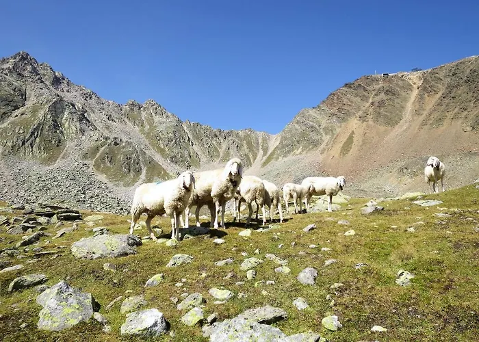 Nadine-6 By Interhome Appartamento *